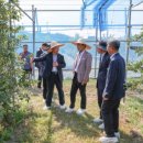 김진태 농가 이미지