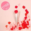 플라이플라워