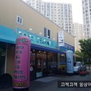 욜로오개 네이버블로그