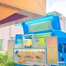 성주여자고등학교 이미지