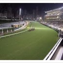 [홍콩의명소]해피밸리경마장 Happy Valley Race Course 이미지