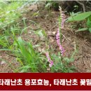 타래 티스토리