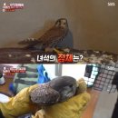 구구농장 이미지