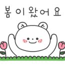 펫살롱 노아 이미지