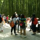 울산여자고등학교 이미지