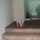 주식회사 한올비비즈 | 웨딩 스튜디오 촬영 후기 루미에스튜디오 준비물 시안 꿀팁