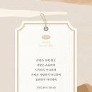 노하우스 이미지