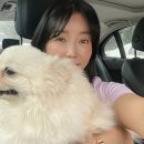 견생 이발소 이미지