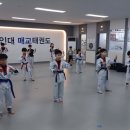 용인대열정태권도장 이미지