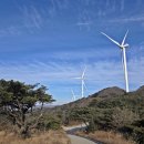 양산신-2025 Daum카페