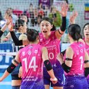 흥국생명 이미지