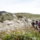 은빛추억 이미지