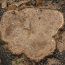 부림중학교 앞 이미지