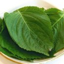 밀양깻잎 이미지