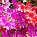 기타등등 이미지