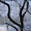 우장산근린공원 이미지