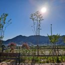 금광셀프세차장 이미지