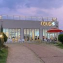 몽글몽글 애견유치원 이미지