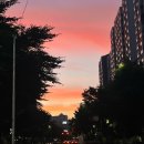 카페에셀 이미지