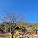 시락해변횟집 이미지