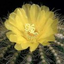 반포삼정공인중개사사무소 이미지