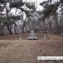 황풍천 네이버블로그