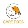 강아지 유치원 caredogs 이미지
