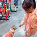 여주-1126 네이버블로그
