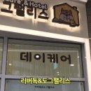 러버독 이미지