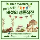 생태교육센터숲터 | 중랑구환경교육센터 7월 교육 프로그램｜포자가 팡팡! 버섯의 생존 작전 취재 후기