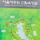 24년 4월 5일 금요산행 (서울대공원 벚꽃축제) 이미지