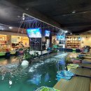 도시어부낚시카페 이미지