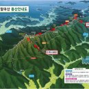 제235회 정기산행 전남 해남 달마산(489m) 동백꽃 산행 (2016년 3월 12일) 이미지