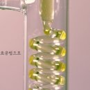포레스트스파 이미지