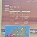 아이와 가볼만한곳] 신안 자은도 1004(천사)뮤지엄파크 목련축제 4월 5일~6일