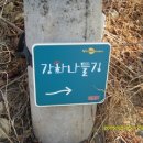 화남생가가는길 이미지
