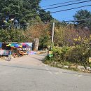 국토종주자전거길1-229 이미지