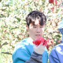 과수원집 이미지