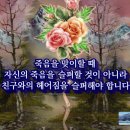 정겨운 우정, 친구 너무 사랑스러운 말 입니다. 이미지