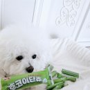 슈퍼포우