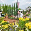 초록빛 힐링 가득! JTV 즐거운 생활백서 ‘전주정원산업박람회’ 촬영 후기 (feat. 식집사의 천국)