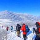 곰배령이야 이미지