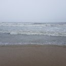 대륙기업노동조합 이미지