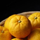 유자향기2 이미지