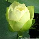 스님+며느리(2) 이미지