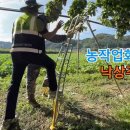 영상축산 이미지