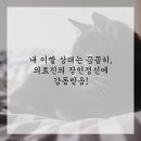 내 치과의원 이미지