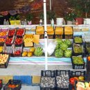 보령청과 이미지