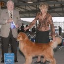 빅골든하우스 이미지