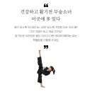 중앙드래곤합기도 이미지